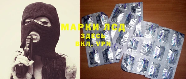 spice Новодвинск