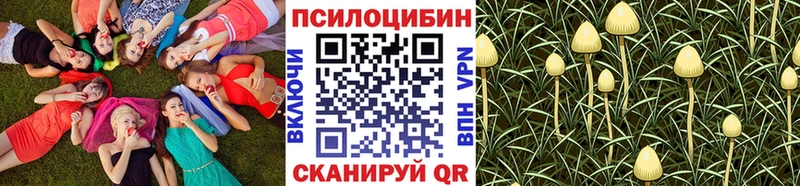 Псилоцибиновые грибы GOLDEN TEACHER  где купить наркоту  Ардатов 
